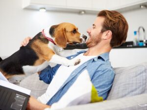 Discover the Best Pet Insurance in Virginia: A Comprehensive Guide