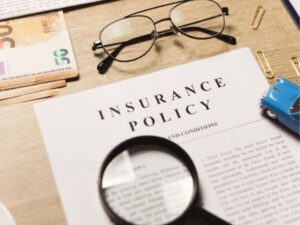 Pet Insurance: Everything You Need to Know to Protect Your Furry Friend