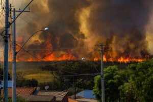 Homeowners Insurance and Wildfire Risk: What Homeowners Need to Know